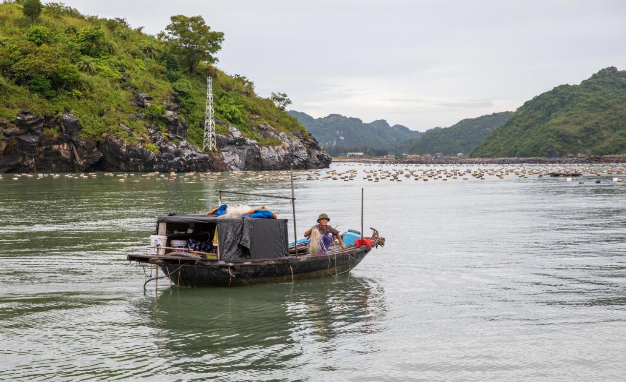 Cat Ong Island Retreat - Catbabay Cat Ba Island Exterior foto